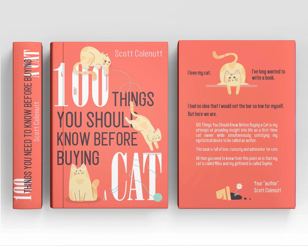 Anastasia Rayner - Graphic Design | Illustration
