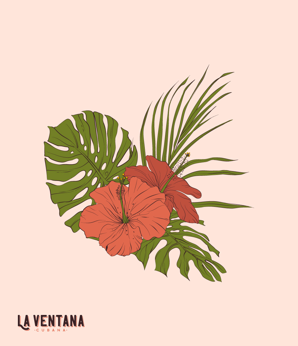 Anastasia Rayner - Graphic Design | Illustration